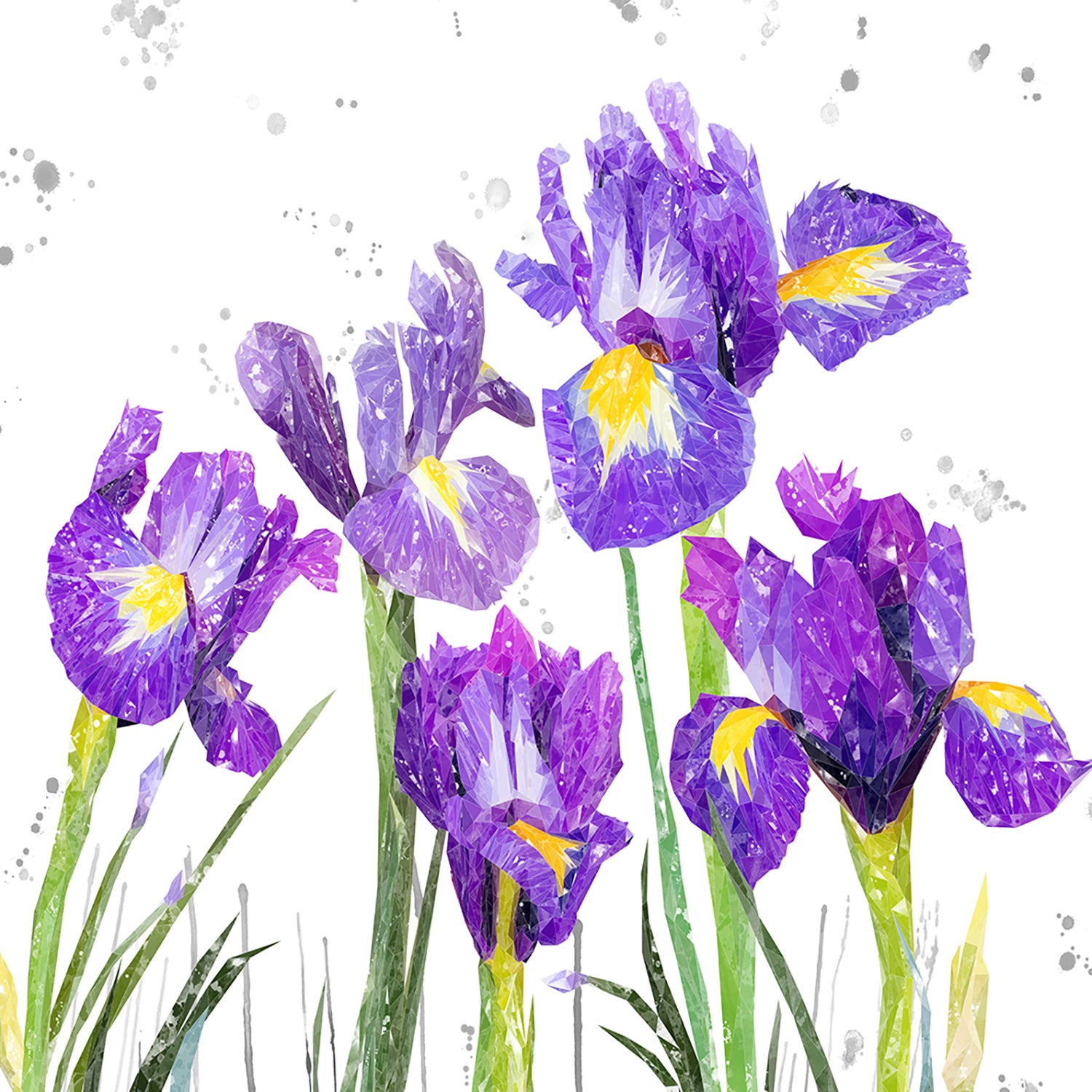 NEW! "Purple Haze" Iris Grey Background Premium Glass Coasters