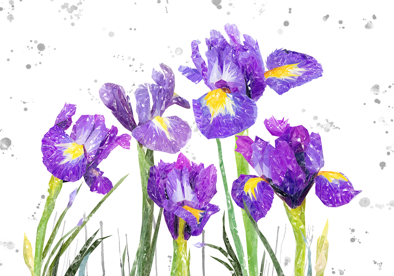 NEW! "Purple Haze" Iris Grey Background Kitchen Splashback