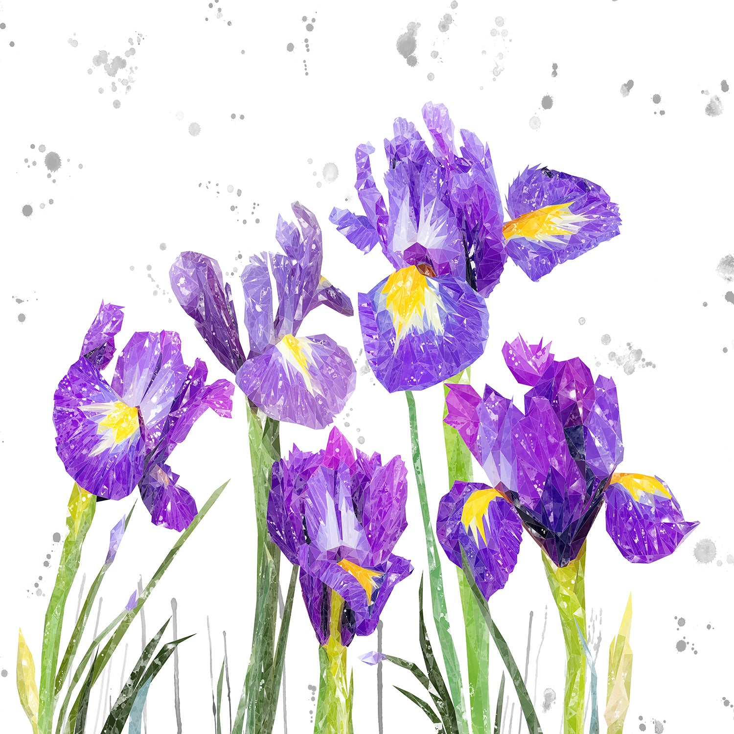 NEW! "Purple Haze" Iris Grey Background Kitchen Splashback