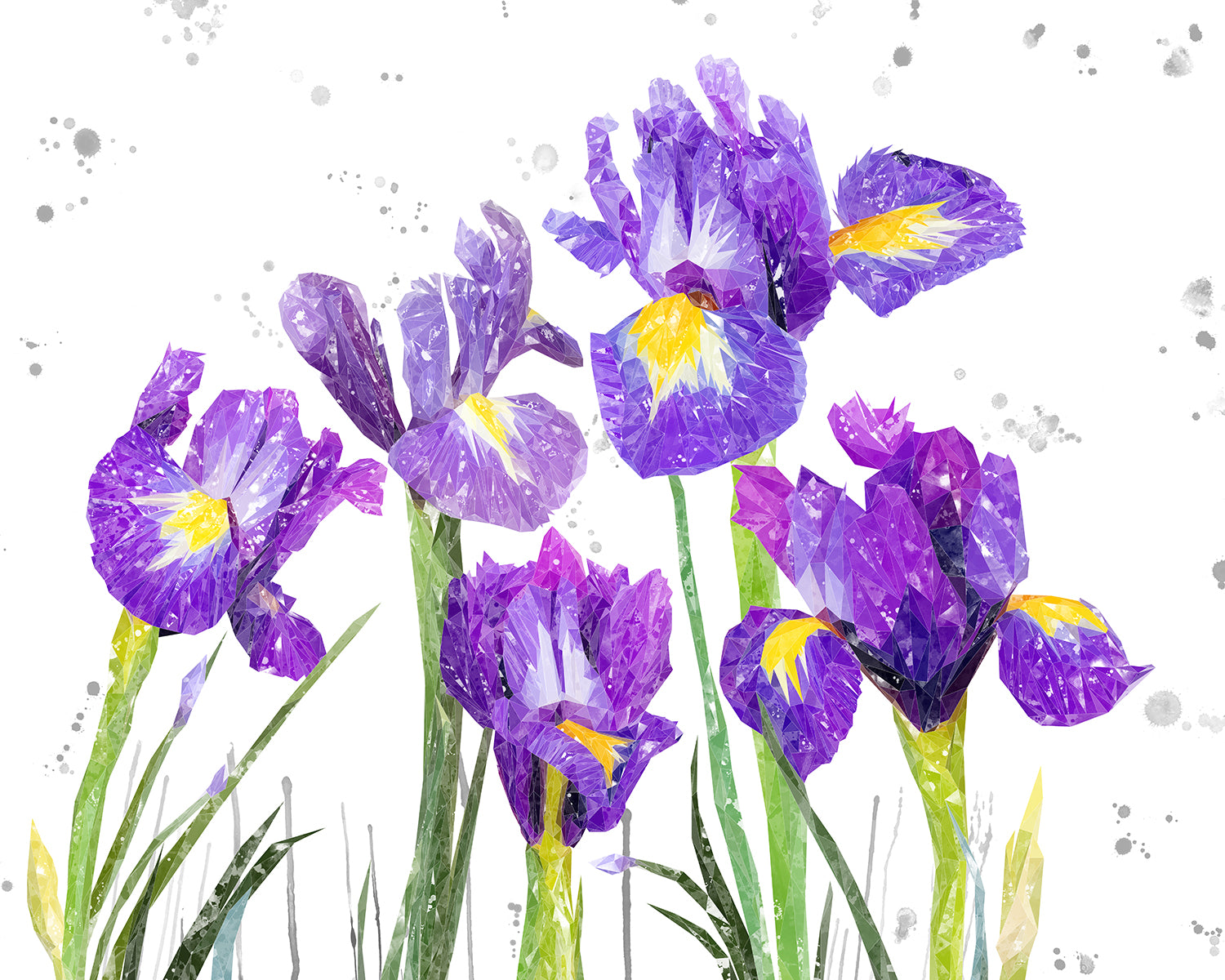 NEW! "Purple Haze" Iris Grey Background Kitchen Splashback