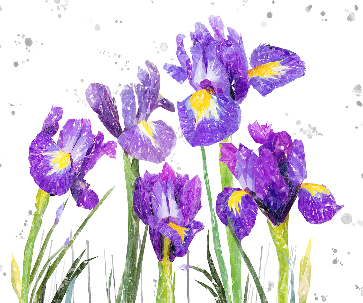 NEW! "Purple Haze" Iris Grey Background Kitchen Splashback