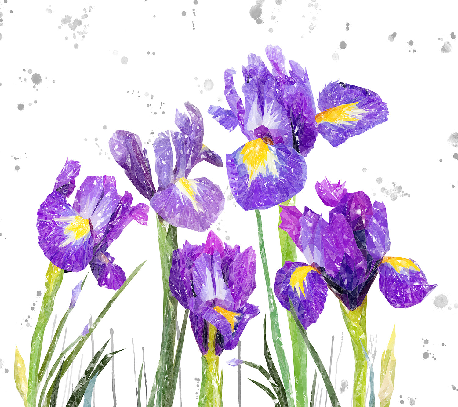 NEW! "Purple Haze" Iris Grey Background Kitchen Splashback