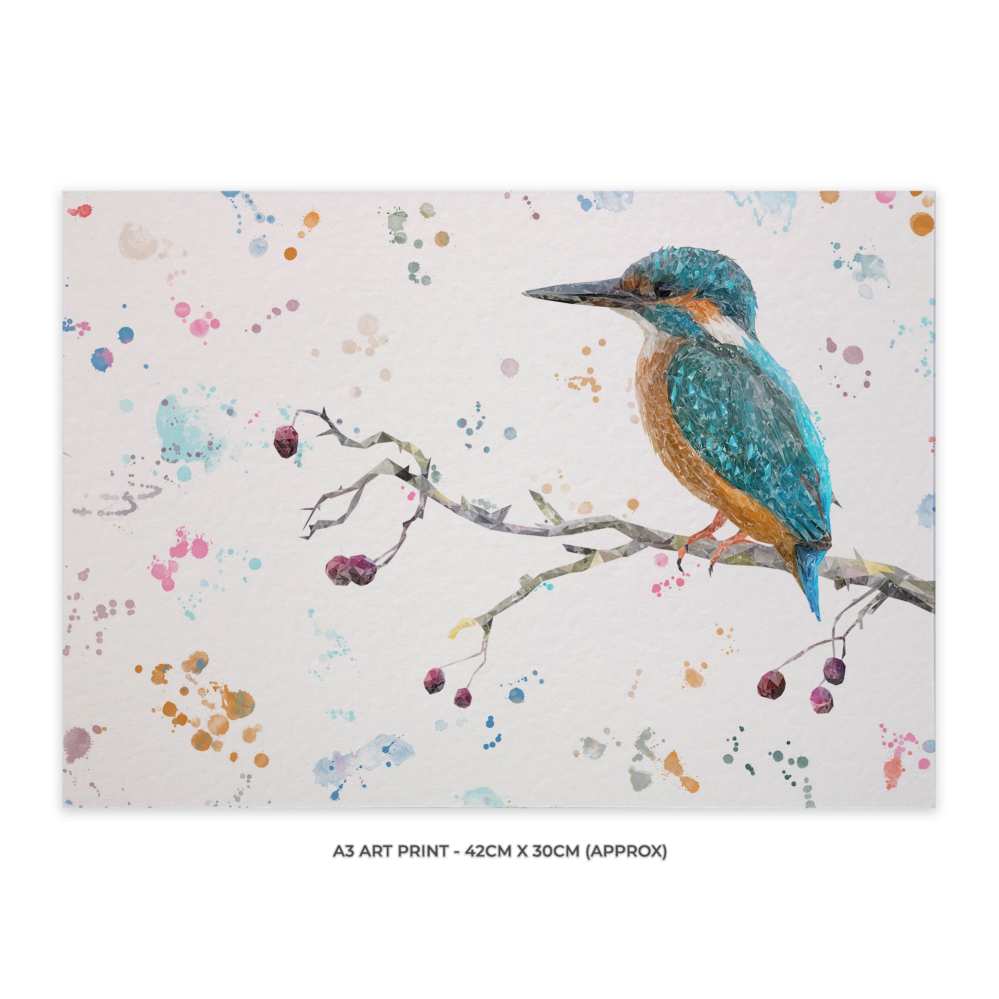 NEW! "On the Lookout" Kingfisher A3 Unframed Art Print - Andy Thomas Artworks