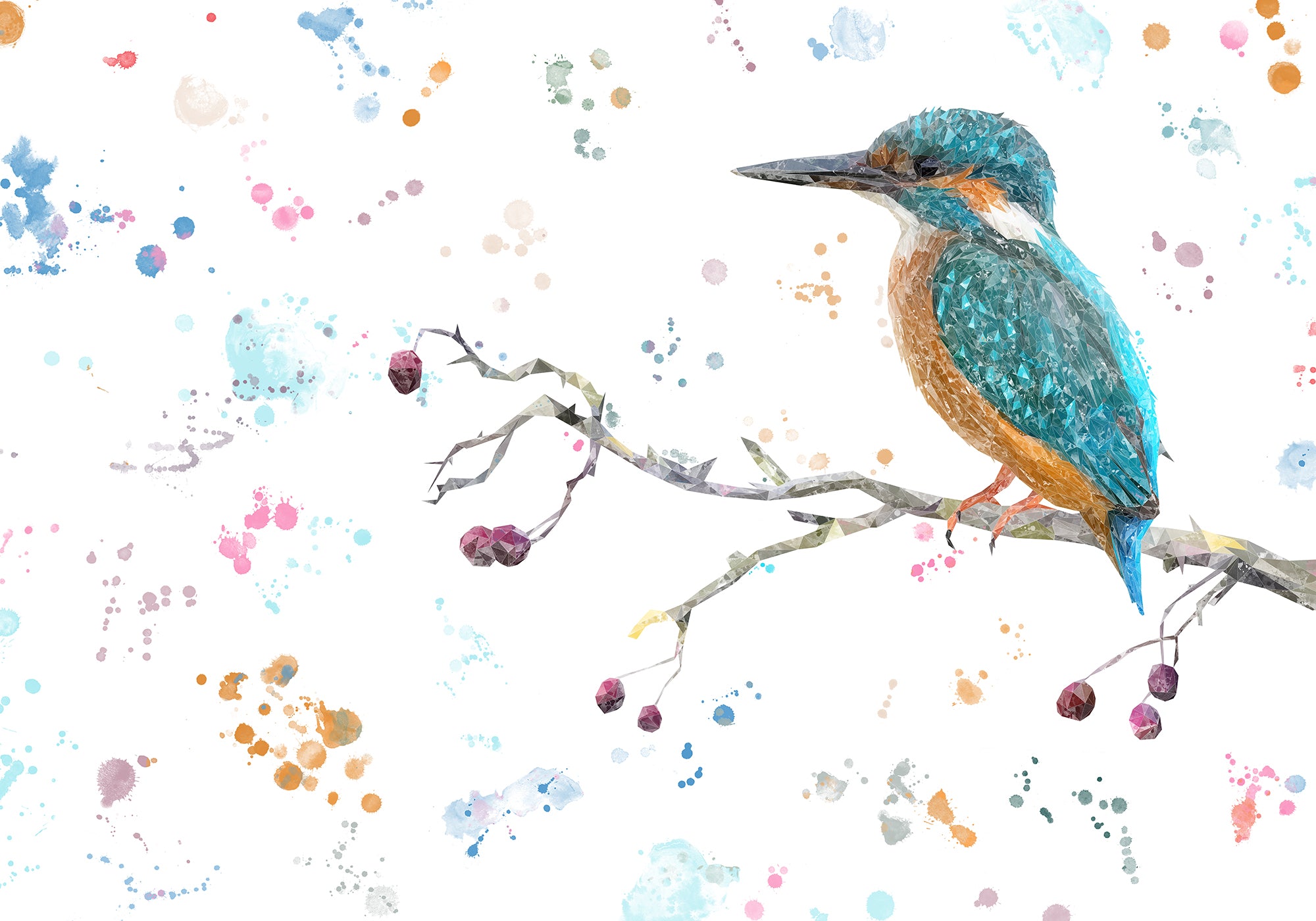 NEW! "On the Lookout" The Kingfisher Kitchen Splashback
