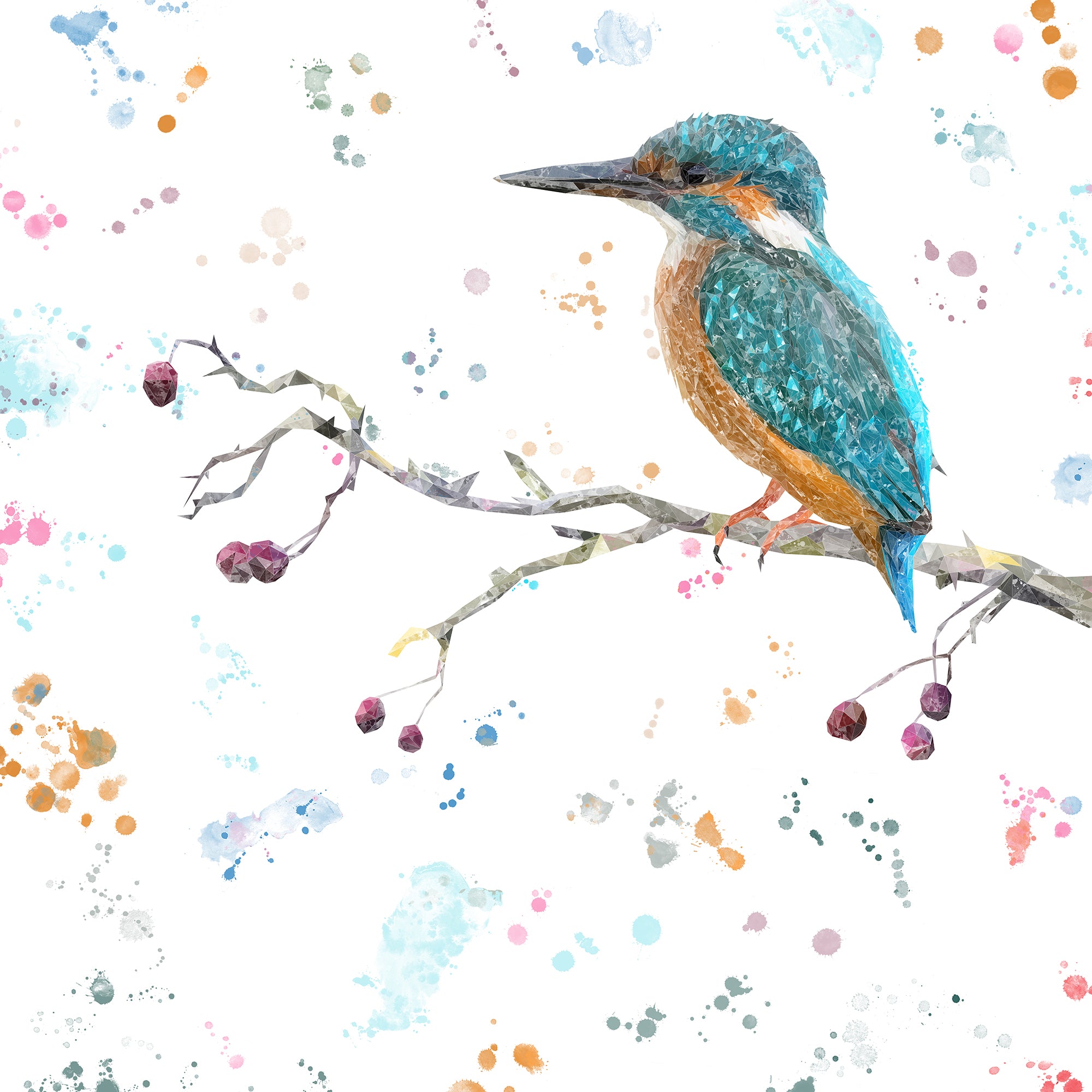 NEW! "On the Lookout" The Kingfisher Kitchen Splashback
