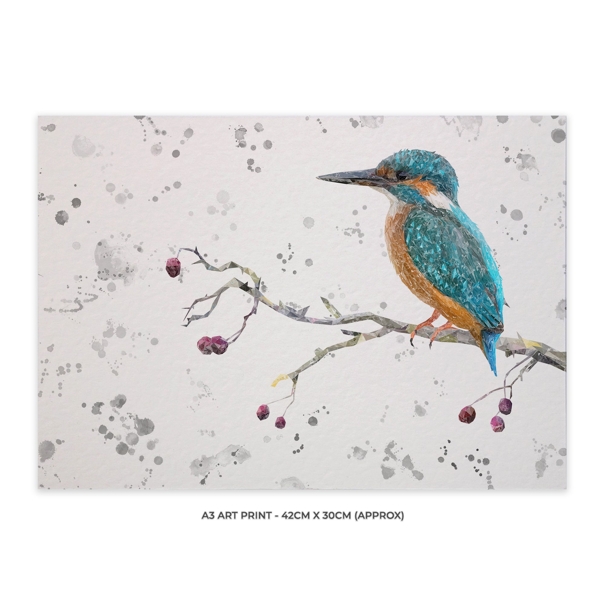 NEW! "On the Lookout" Kingfisher (grey background) A3 Unframed Art Print - Andy Thomas Artworks