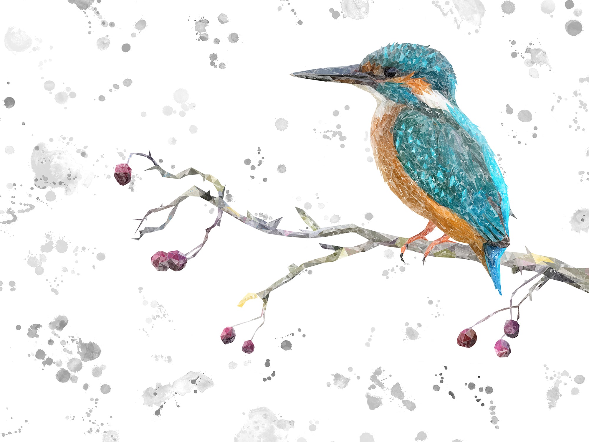 NEW! "On the Lookout" The Kingfisher (grey background) Canvas Print - Andy Thomas Artworks