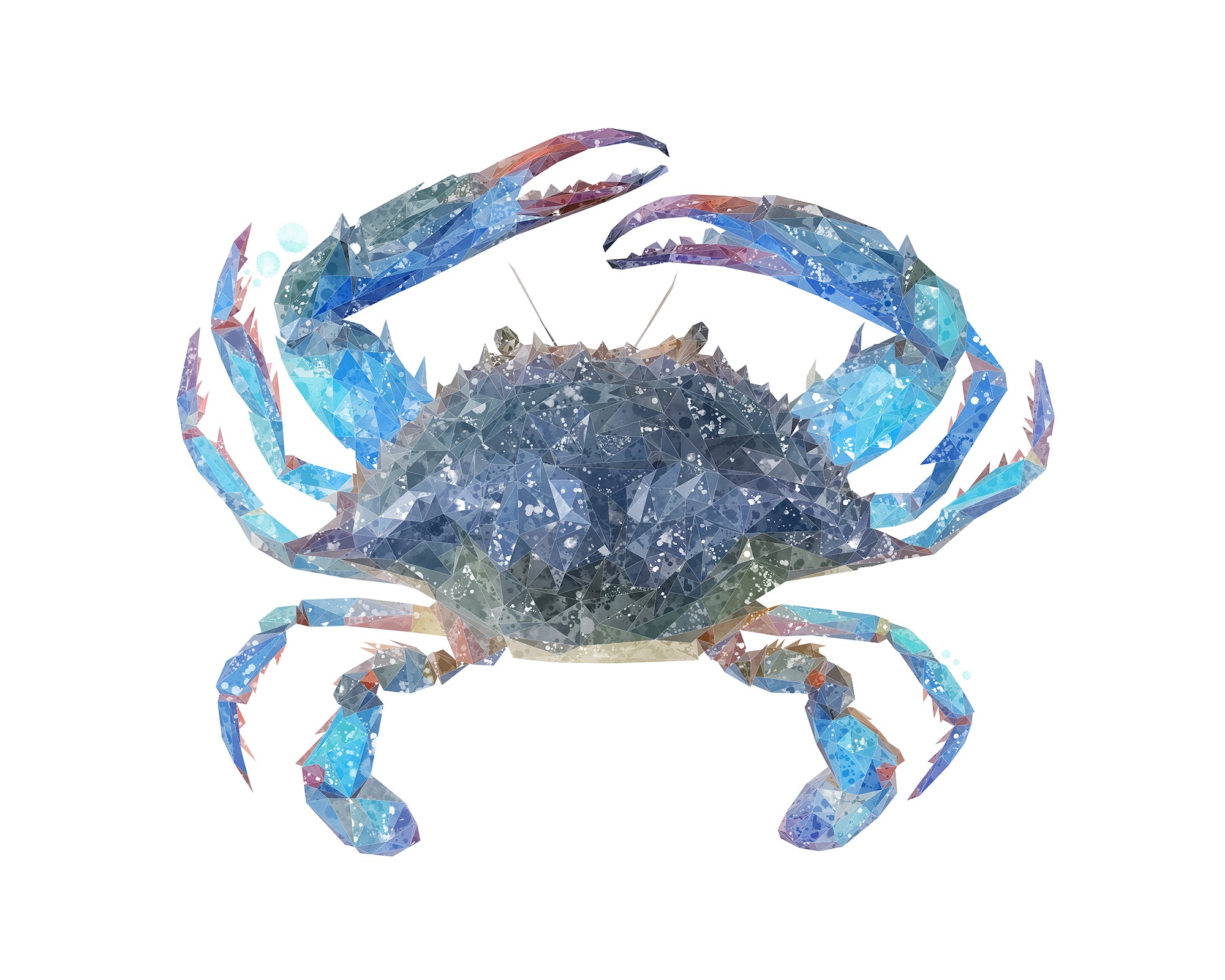 NEW! "Calli" The Blue Crab Kitchen Splashback - Andy Thomas Artworks