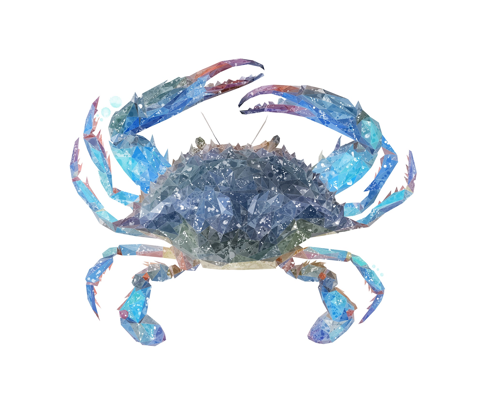 NEW! "Calli" The Blue Crab Kitchen Splashback - Andy Thomas Artworks