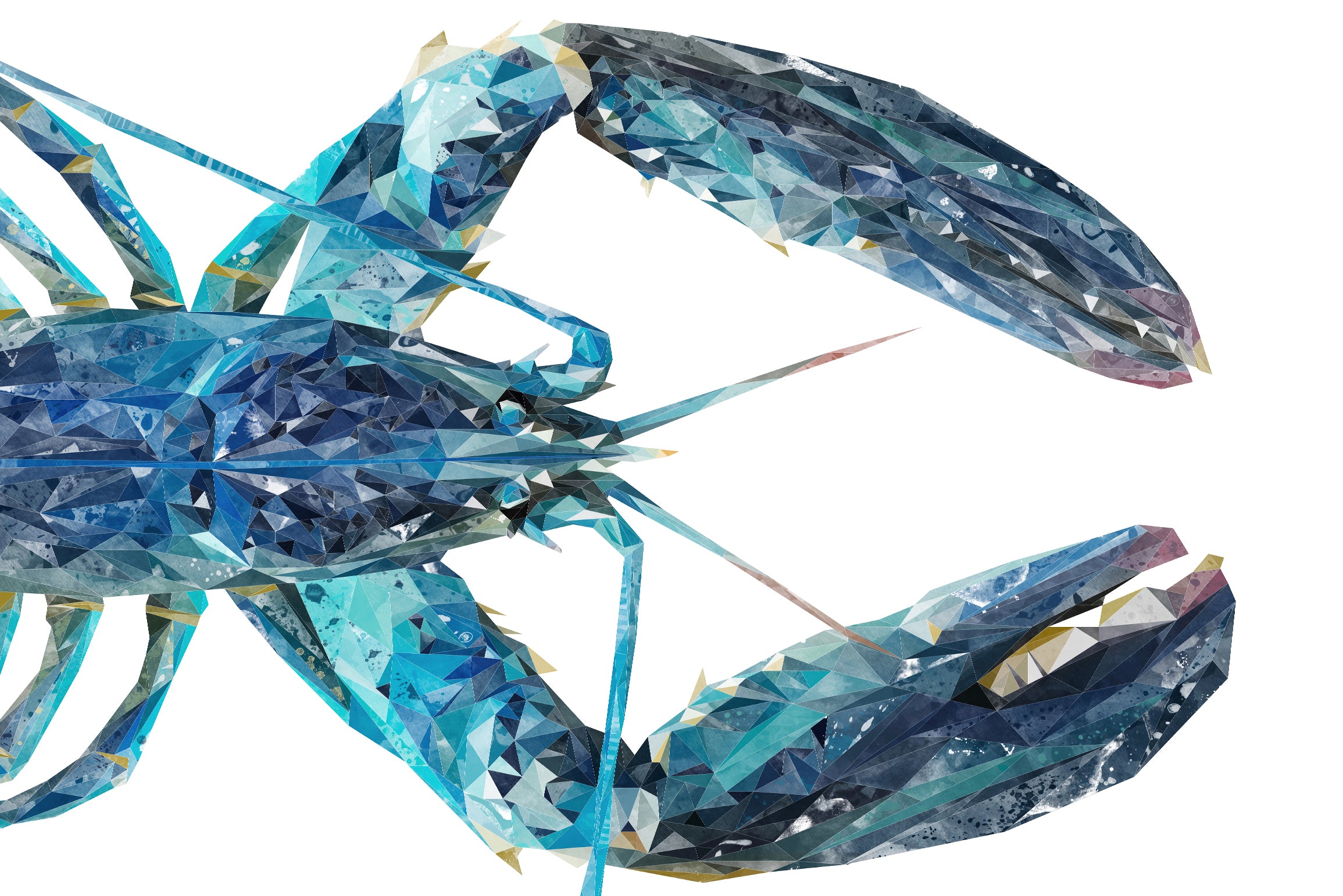 Custom Listing for IM The Blue Lobster - 900mm wide x 600mm high - ADH