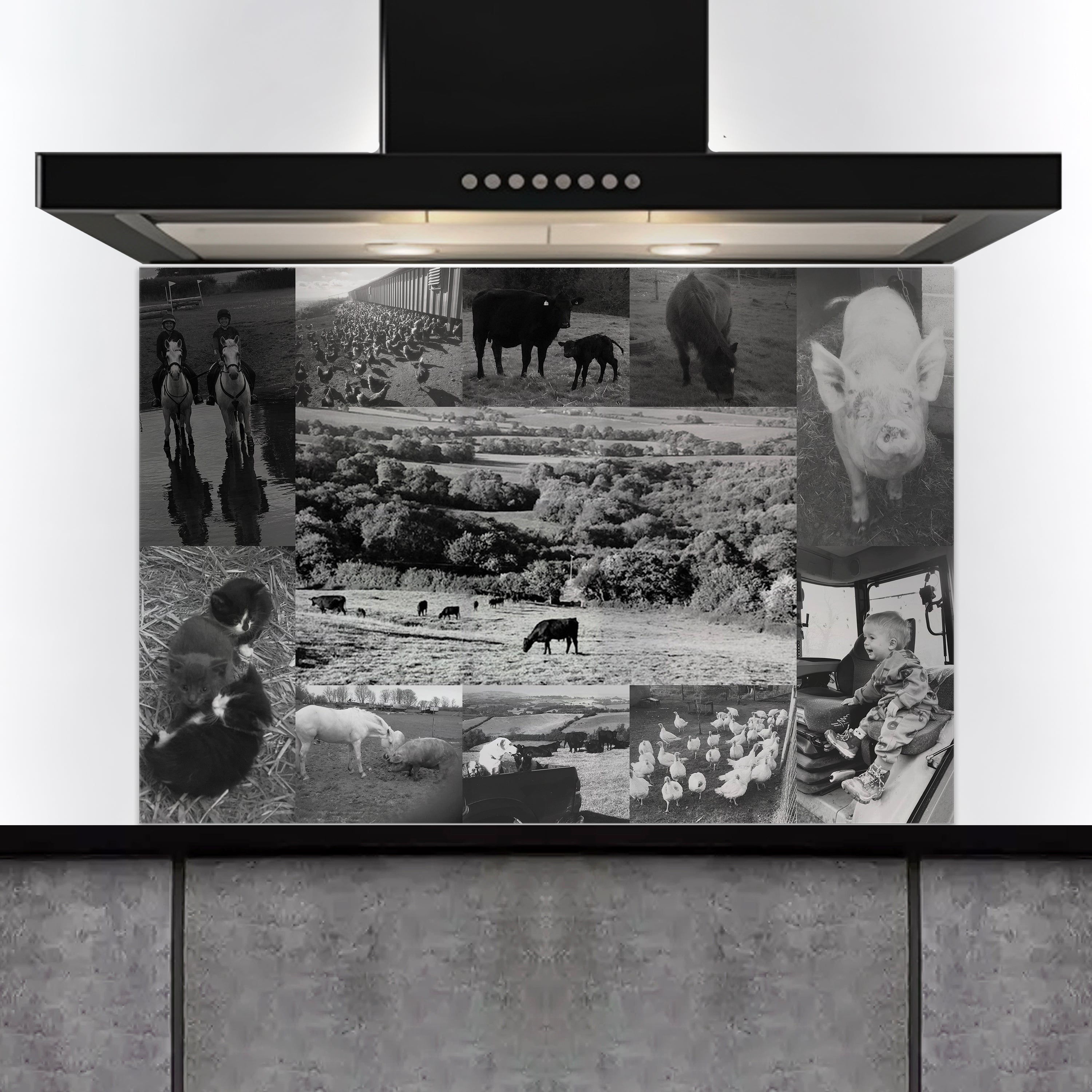 Custom Listing for TG - CUSTOMER PHOTOS 1500w x 1000h - ADH