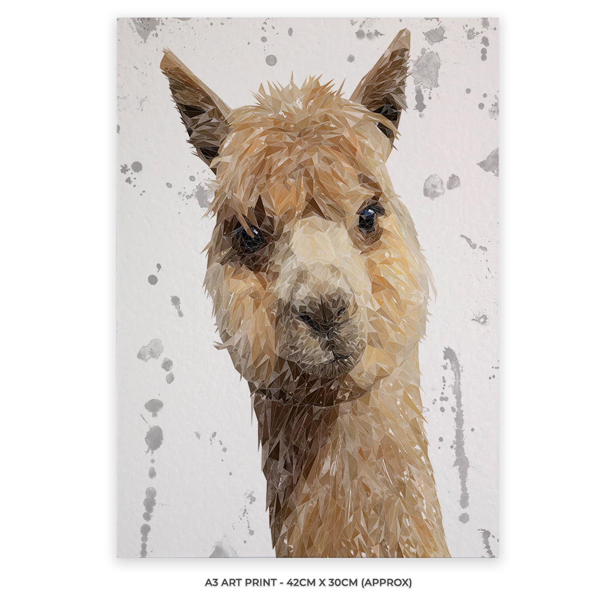 "Alice" The Alpaca (Grey Background) Unframed Art Print - Andy Thomas Artworks
