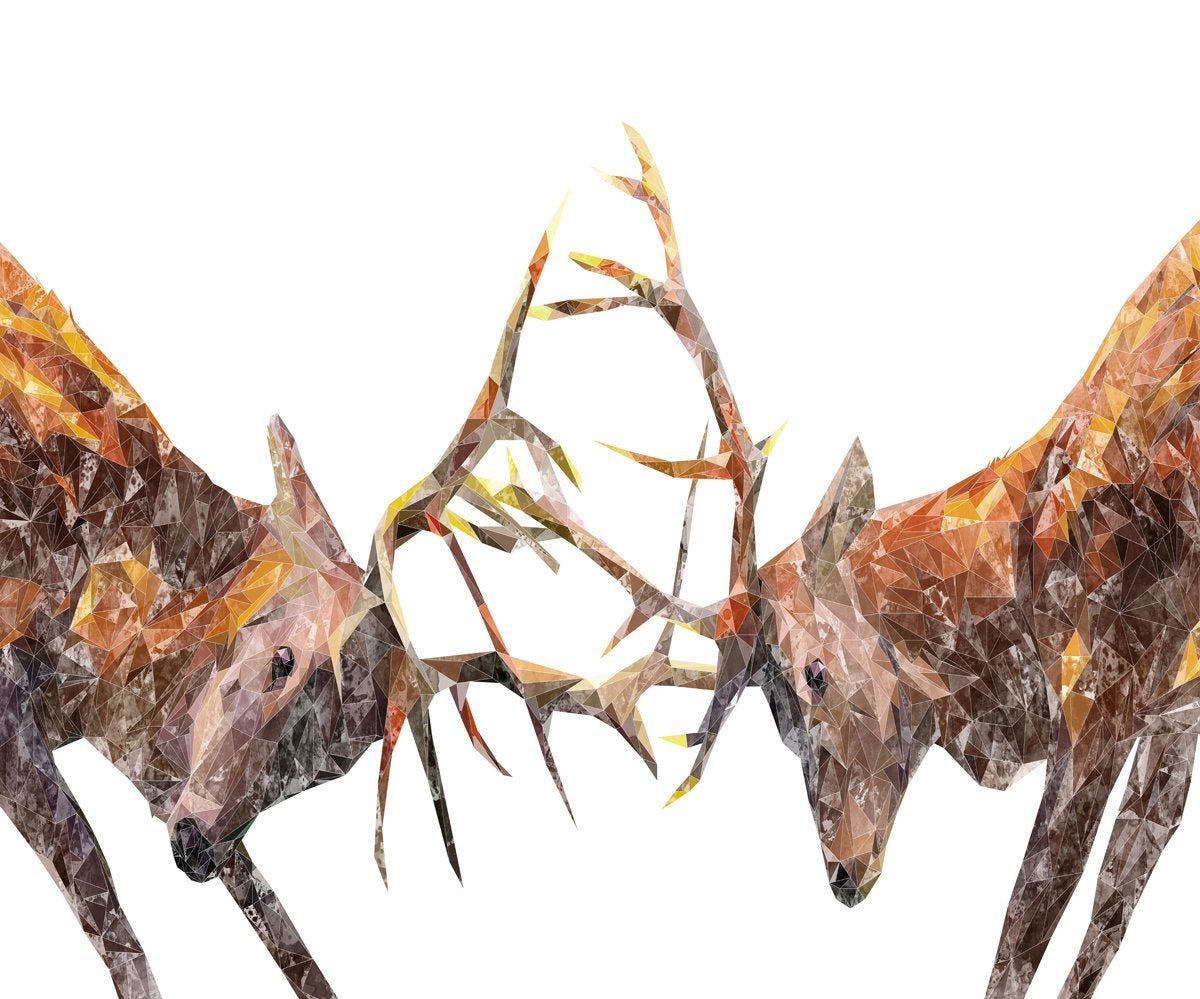 "The Showdown" Rutting Stags Kitchen Splashback - Andy Thomas Artworks