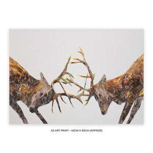 "The Showdown" Rutting Stags A3 Unframed Art Print - Andy Thomas Artworks
