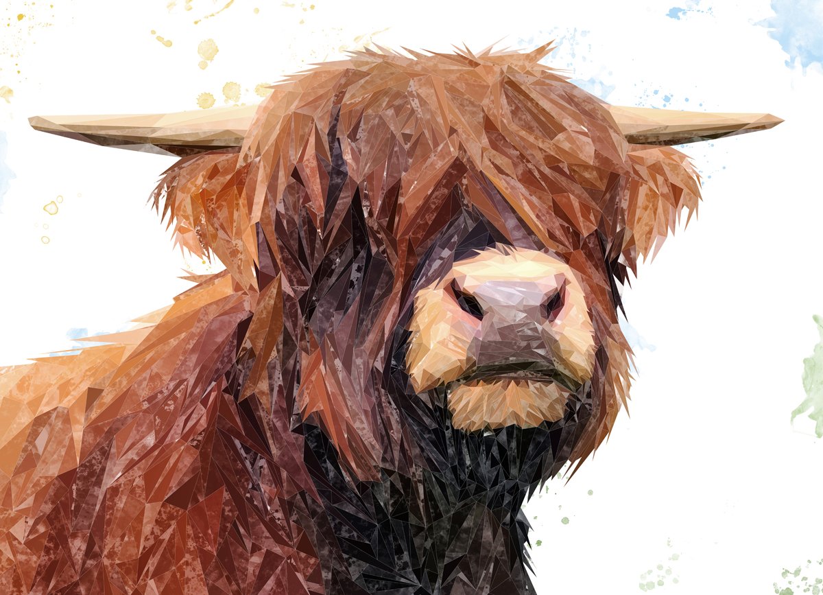 "Henry" The Highland Bull Kitchen Splashback