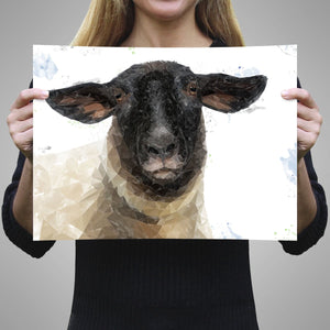 "The Suffolk" Suffolk Sheep Unframed Art Print - Andy Thomas Artworks