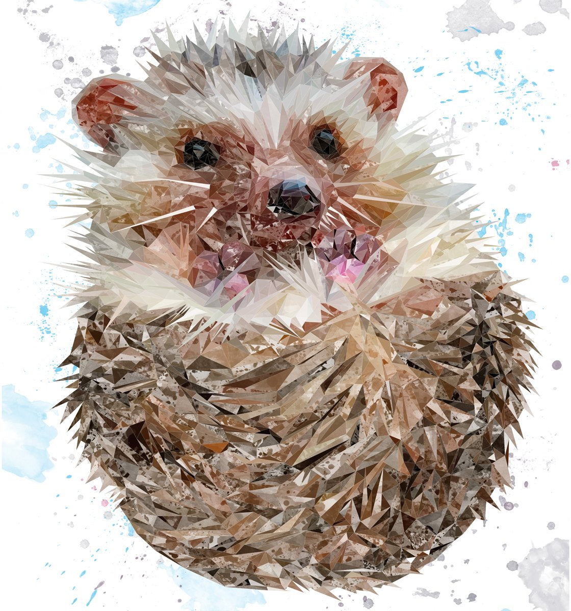 "Milton" The Hedgehog Kitchen Splashback