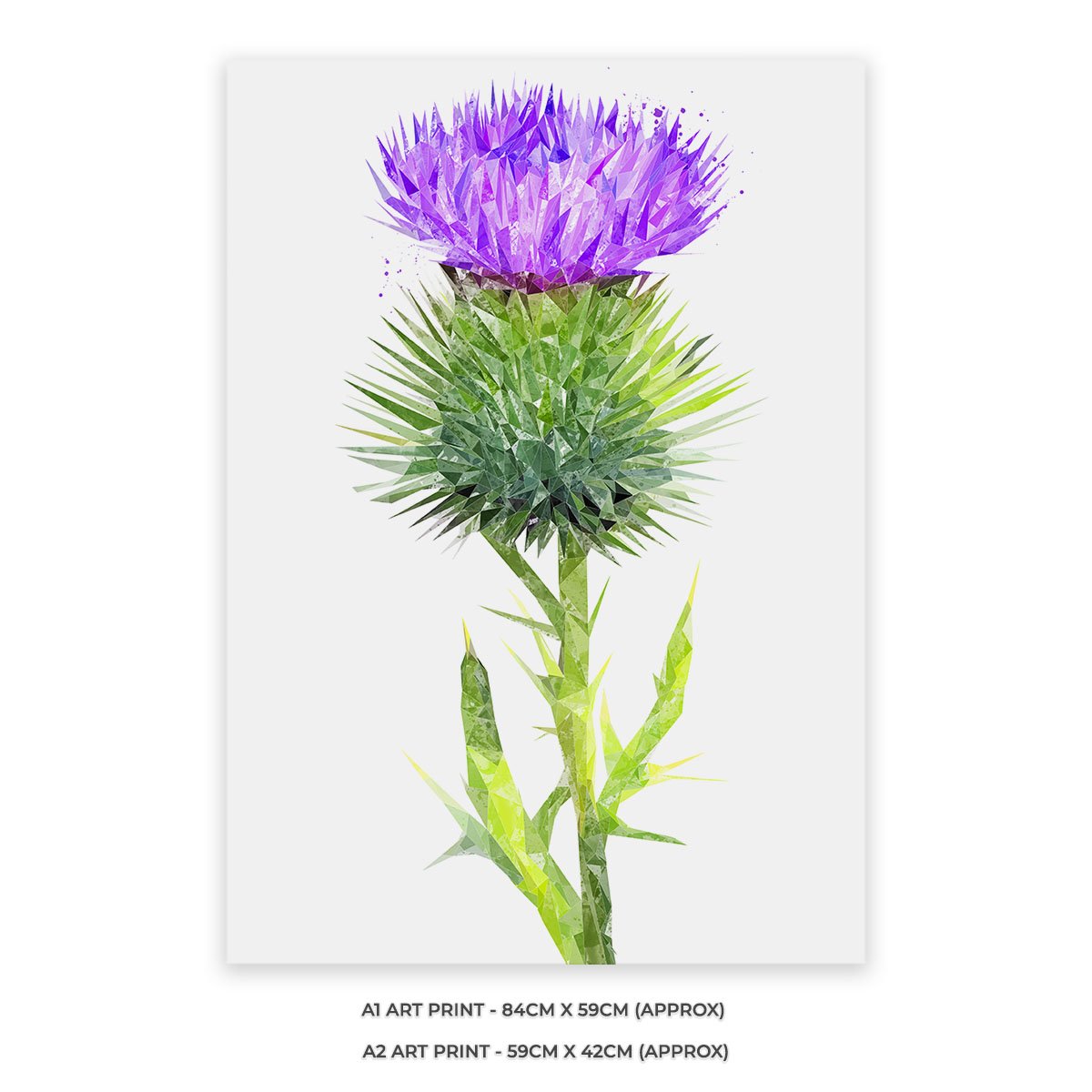 The Thistle (Portrait) Unframed Art Print - Andy Thomas Artworks
