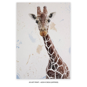 "George" The Giraffe A3 Unframed Art Print - Andy Thomas Artworks