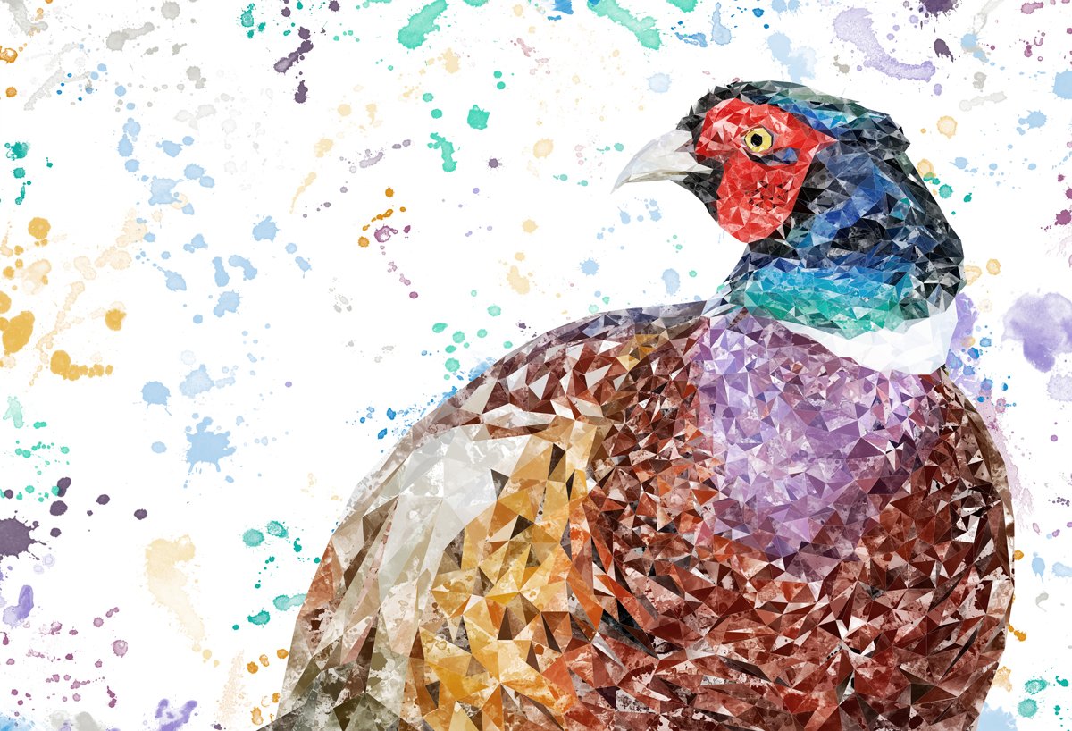 "Marty" The Pheasant Kitchen Splashback
