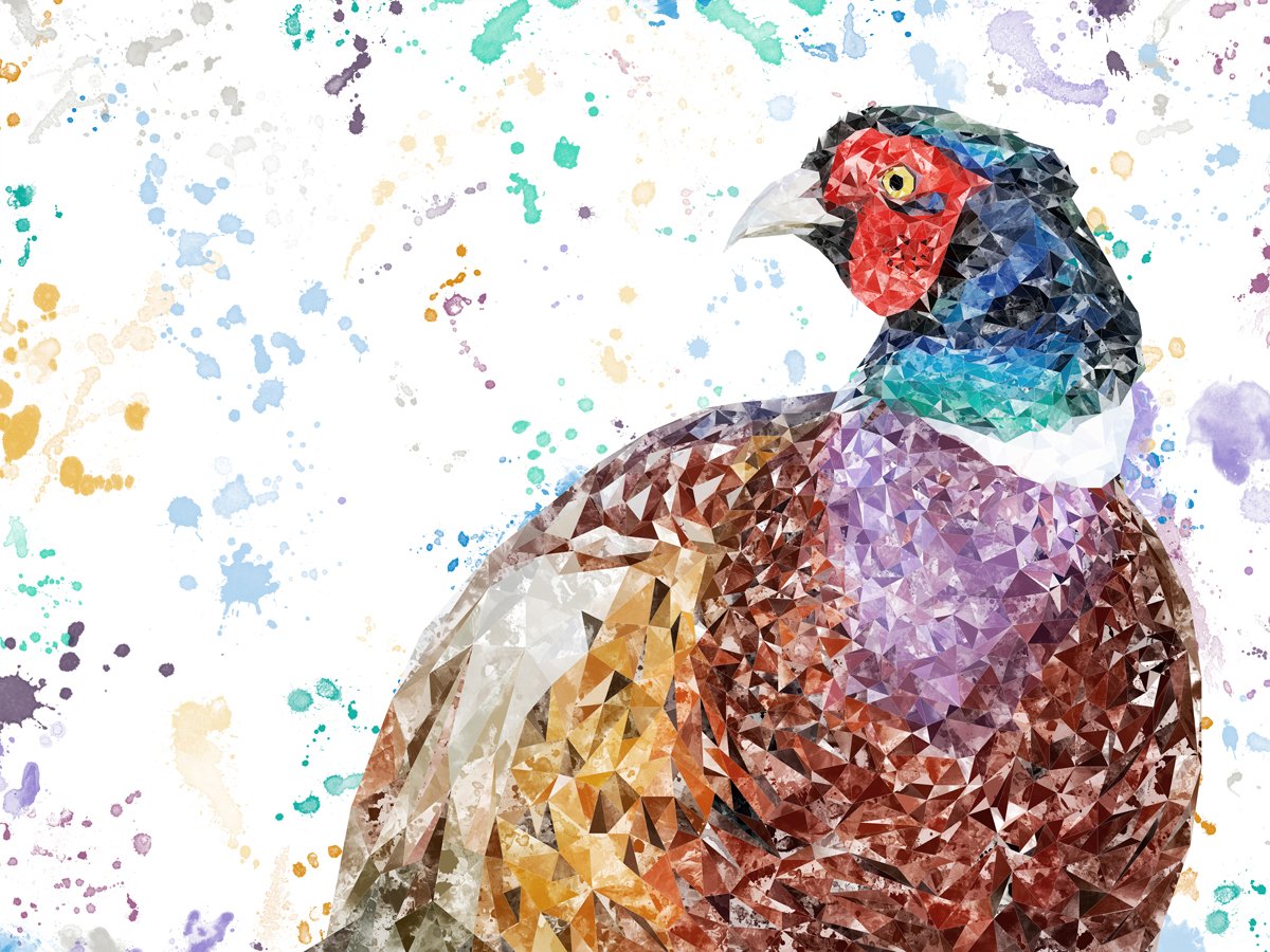 "Marty" The Pheasant Kitchen Splashback