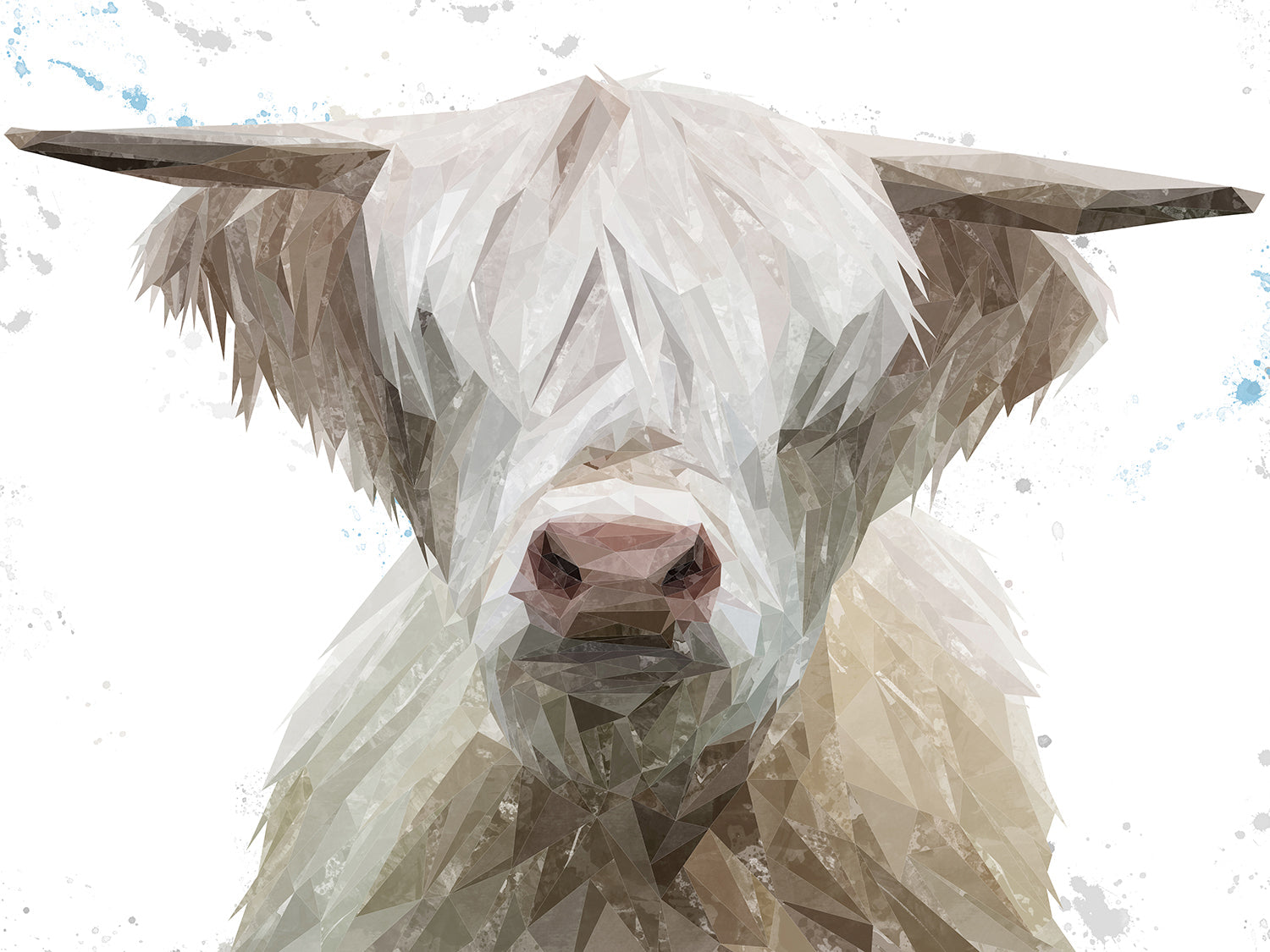 "Evan" The Highland Bull Canvas Print
