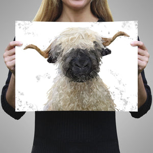"Betty" The Valais Blacknose Sheep (Grey Background) Unframed Art Print - Andy Thomas Artworks