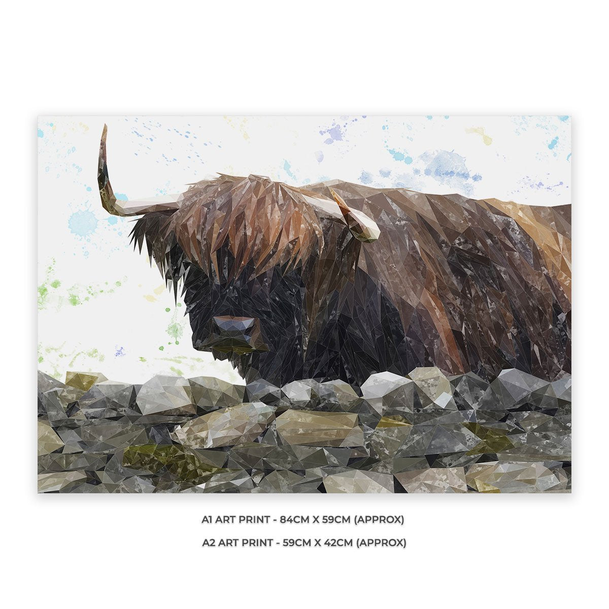 "Freya" The Highland Cow from Applecross Unframed Art Print - Andy Thomas Artworks