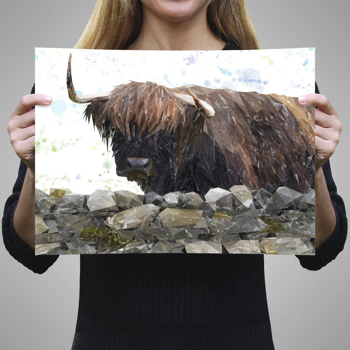 "Freya" The Highland Cow from Applecross A3 Unframed Art Print - Andy Thomas Artworks