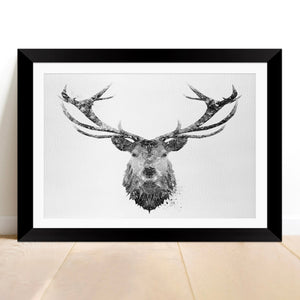 "The Stag" (B&W) Framed & Mounted Art Print