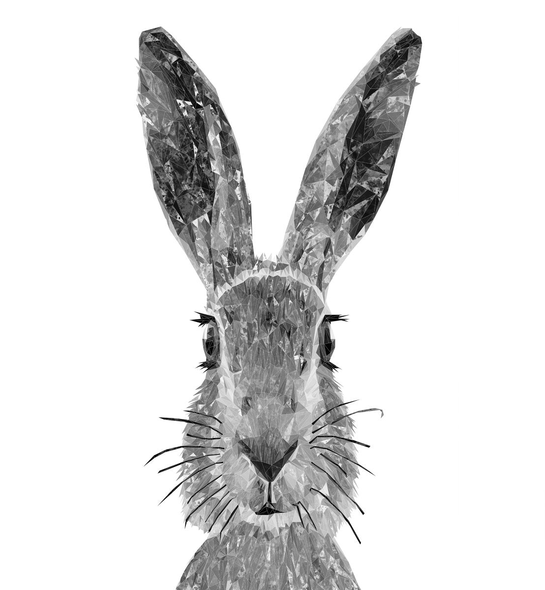 "The Hare" (B&W) Kitchen Splashback