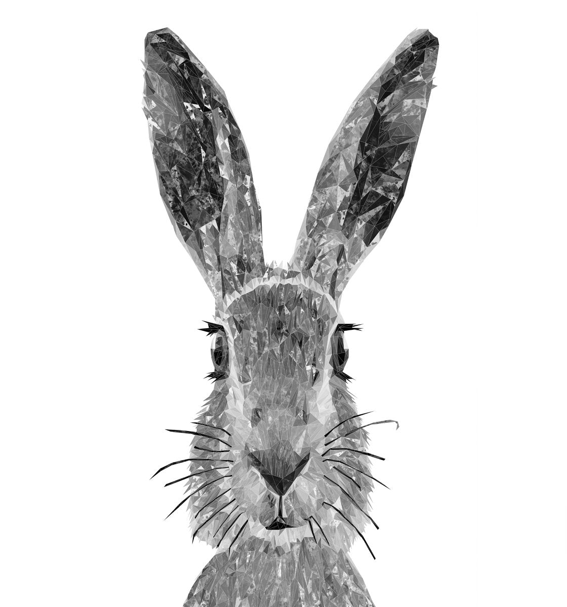 "The Hare" (B&W) Kitchen Splashback