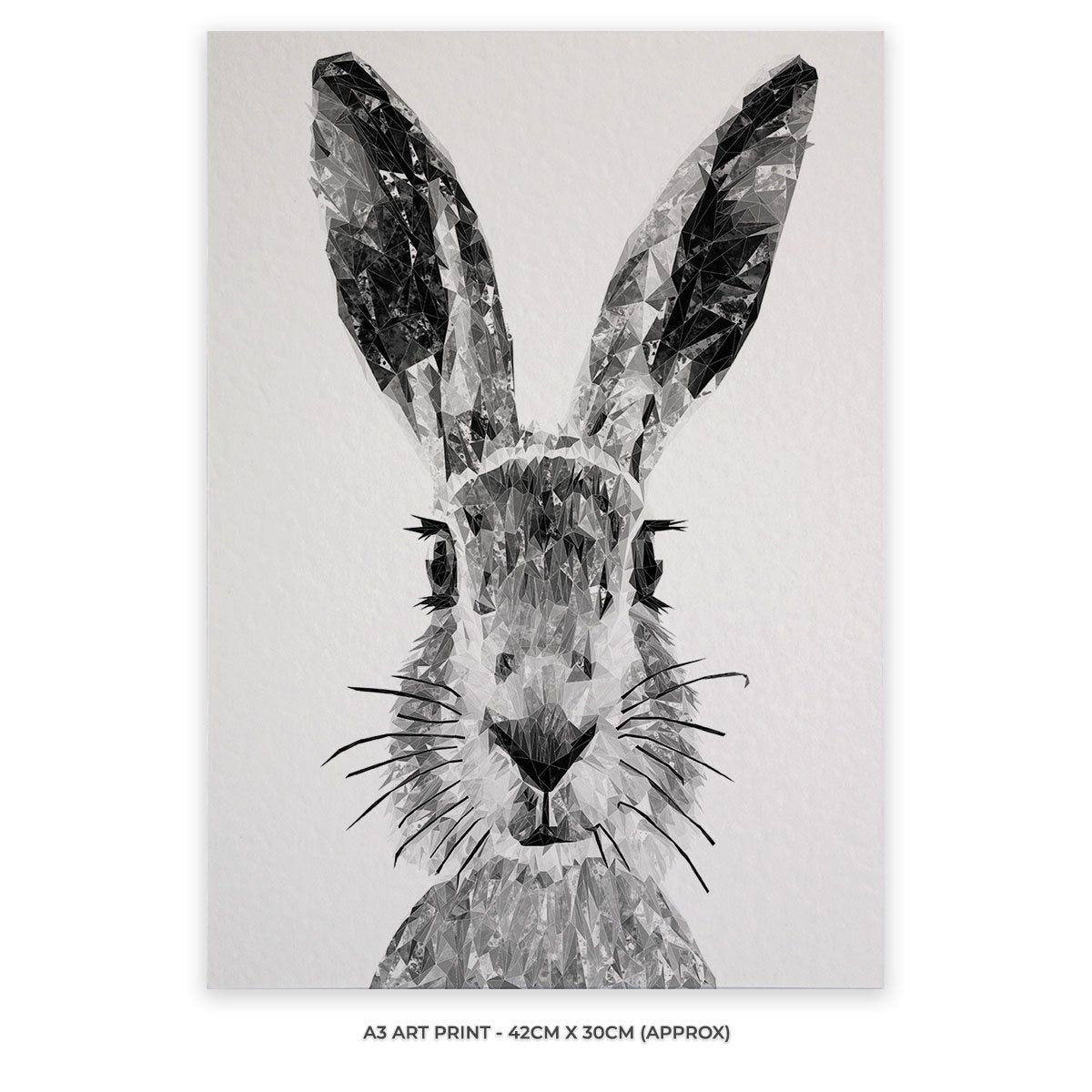 "The Hare" (B&W) Unframed Art Print - Andy Thomas Artworks