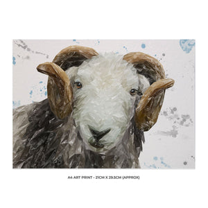 "Stanley" The Herdwick Ram A4 Unframed Art Print - Andy Thomas Artworks