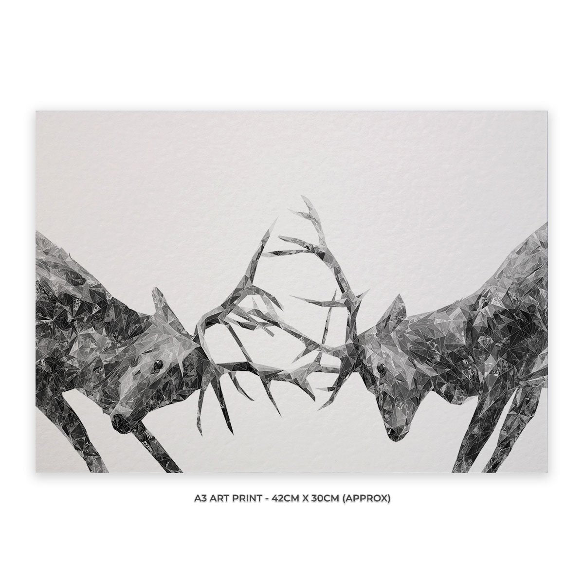 "The Showdown" Rutting Stags (B&W) A3 Unframed Art Print - Andy Thomas Artworks