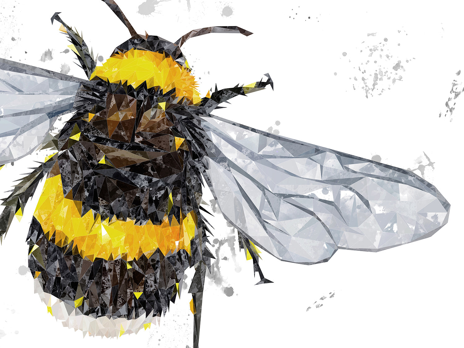 "The Bee" (Grey Background) Canvas Print