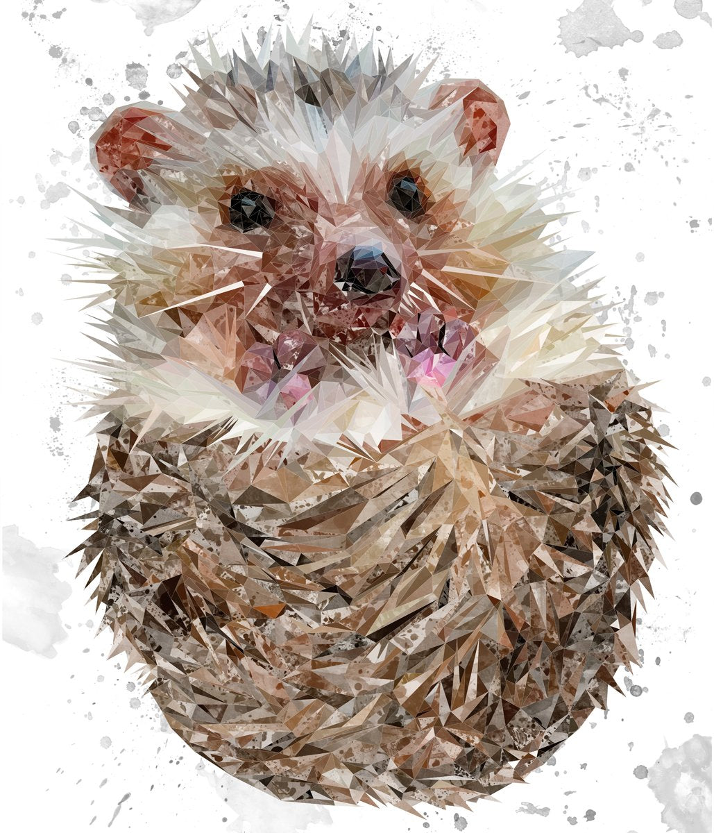 "Milton" The Hedgehog (Grey Background) Kitchen Splashback