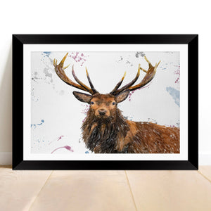 "Rory" The Stag Framed & Mounted Art Print