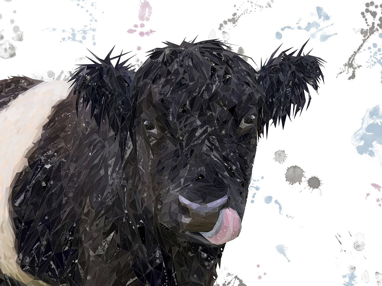 "Eugene" The Belted Galloway Cow Canvas Print