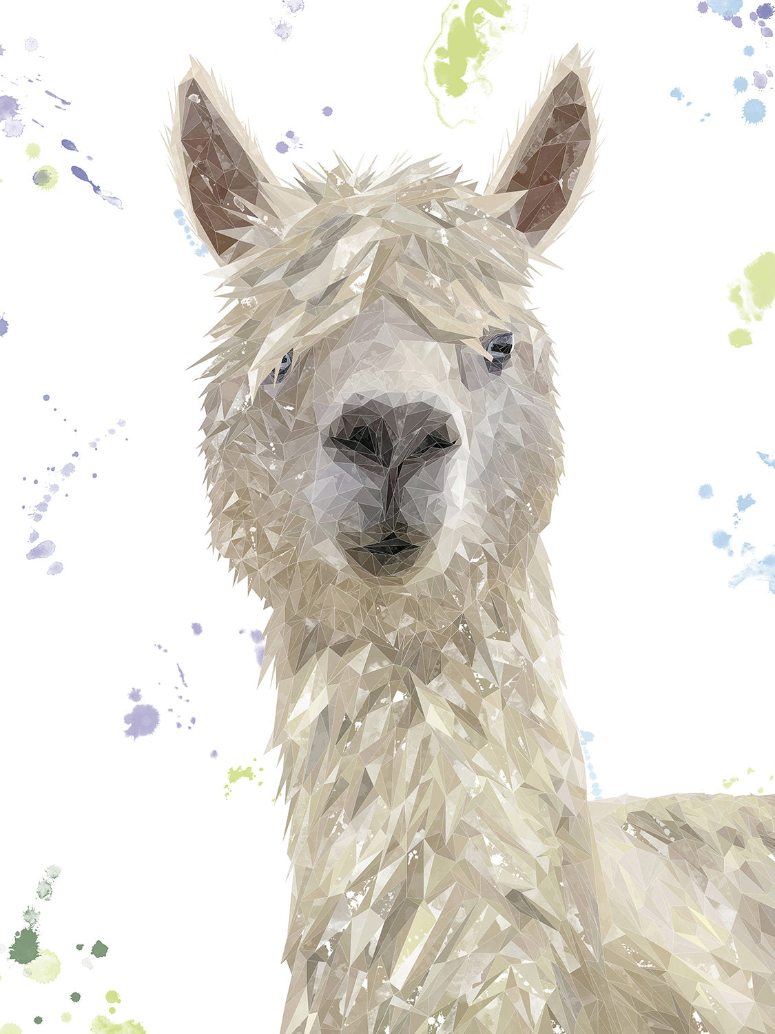 "Rowland" The Alpaca Canvas Print