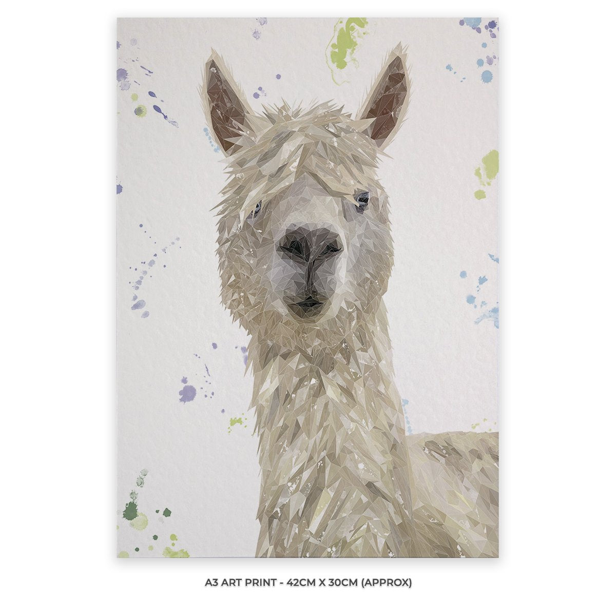 "Rowland" The Alpaca A3 Unframed Art Print - Andy Thomas Artworks