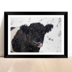 "Eugene" The Belted Galloway Cow (Grey Background) Framed & Mounted Art Print