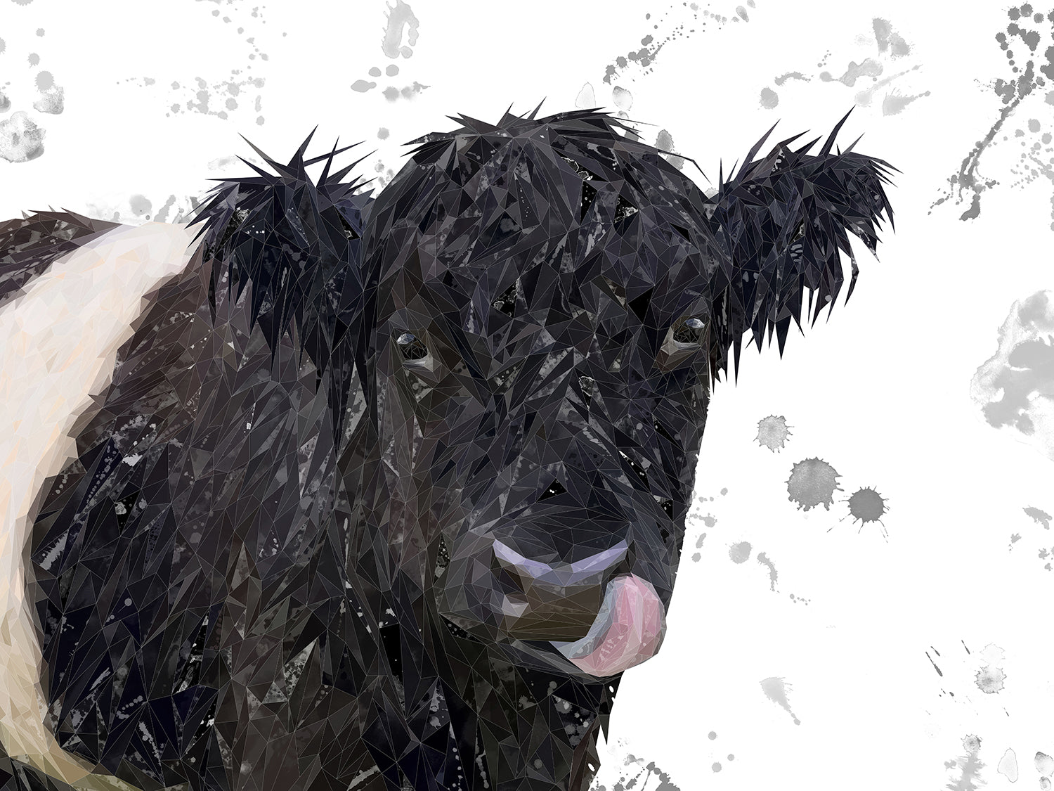 "Eugene" The Belted Galloway Cow (Grey Background) Canvas Print
