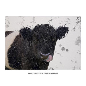 "Eugene" The Belted Galloway Cow (Grey Background) A4 Unframed Art Print - Andy Thomas Artworks