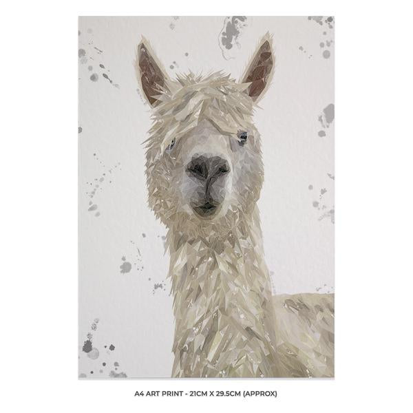 "Rowland" The Alpaca (Grey Background) A4 Unframed Art Print - Andy Thomas Artworks
