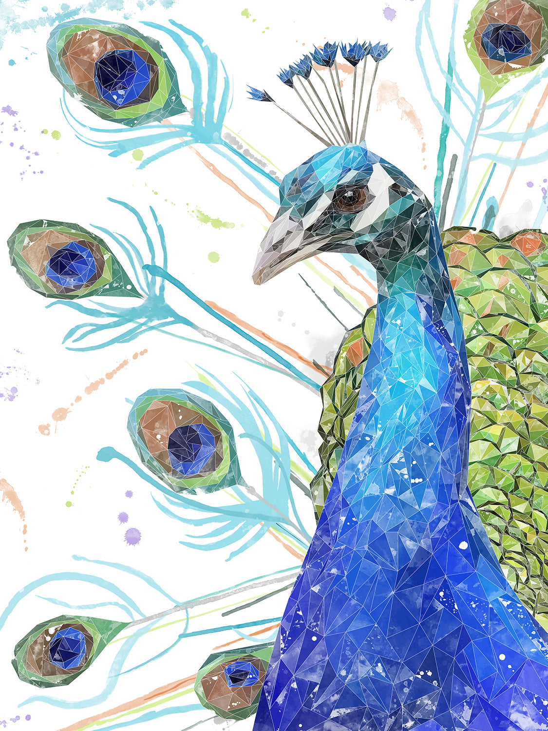 "Percy" The Peacock Canvas Print