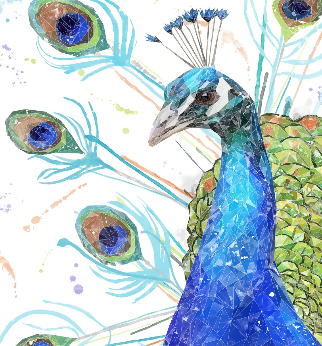 "Percy" The Peacock Kitchen Splashback