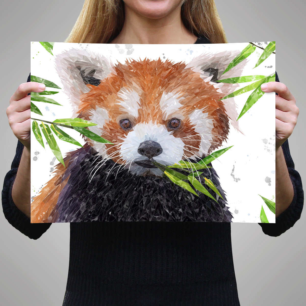 "Red" The Red Panda A3 Unframed Art Print - Andy Thomas Artworks