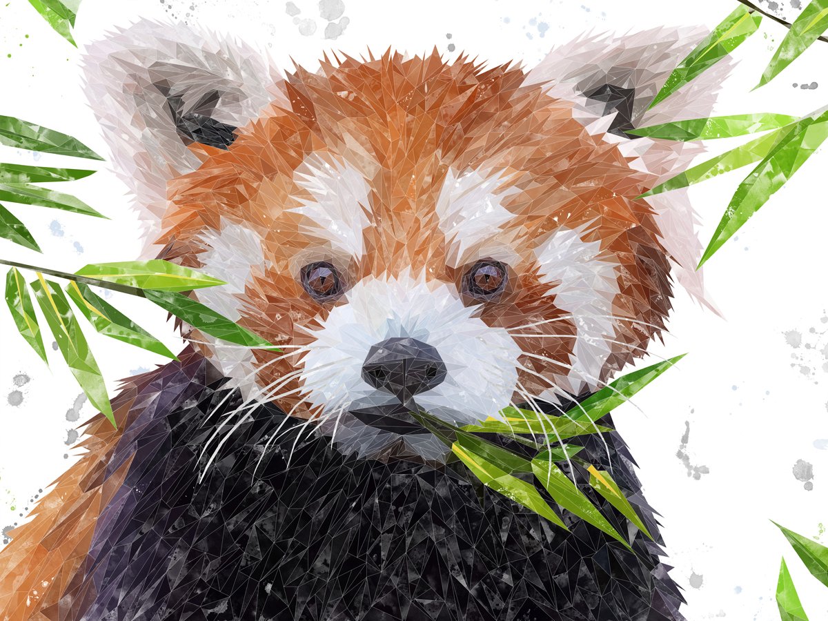 "Red" The Red Panda Kitchen Splashback