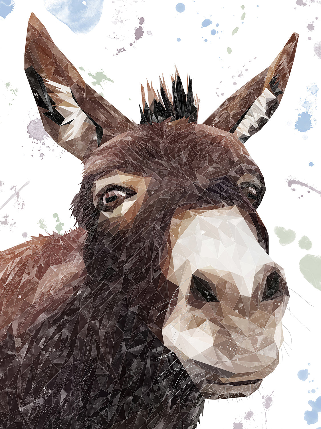 "Conka" The Donkey Canvas Print
